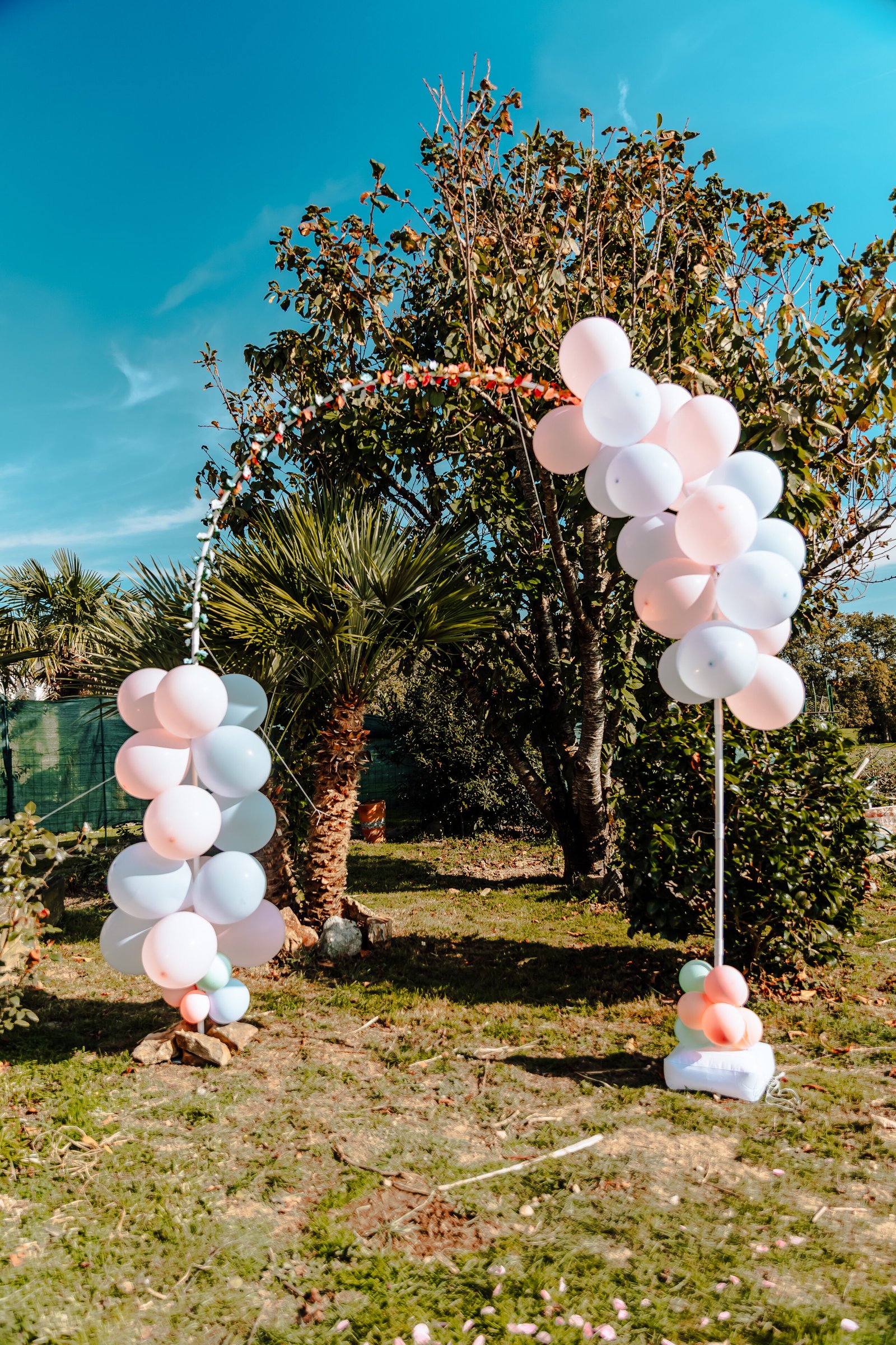 Baby Shower photographe Lyon 