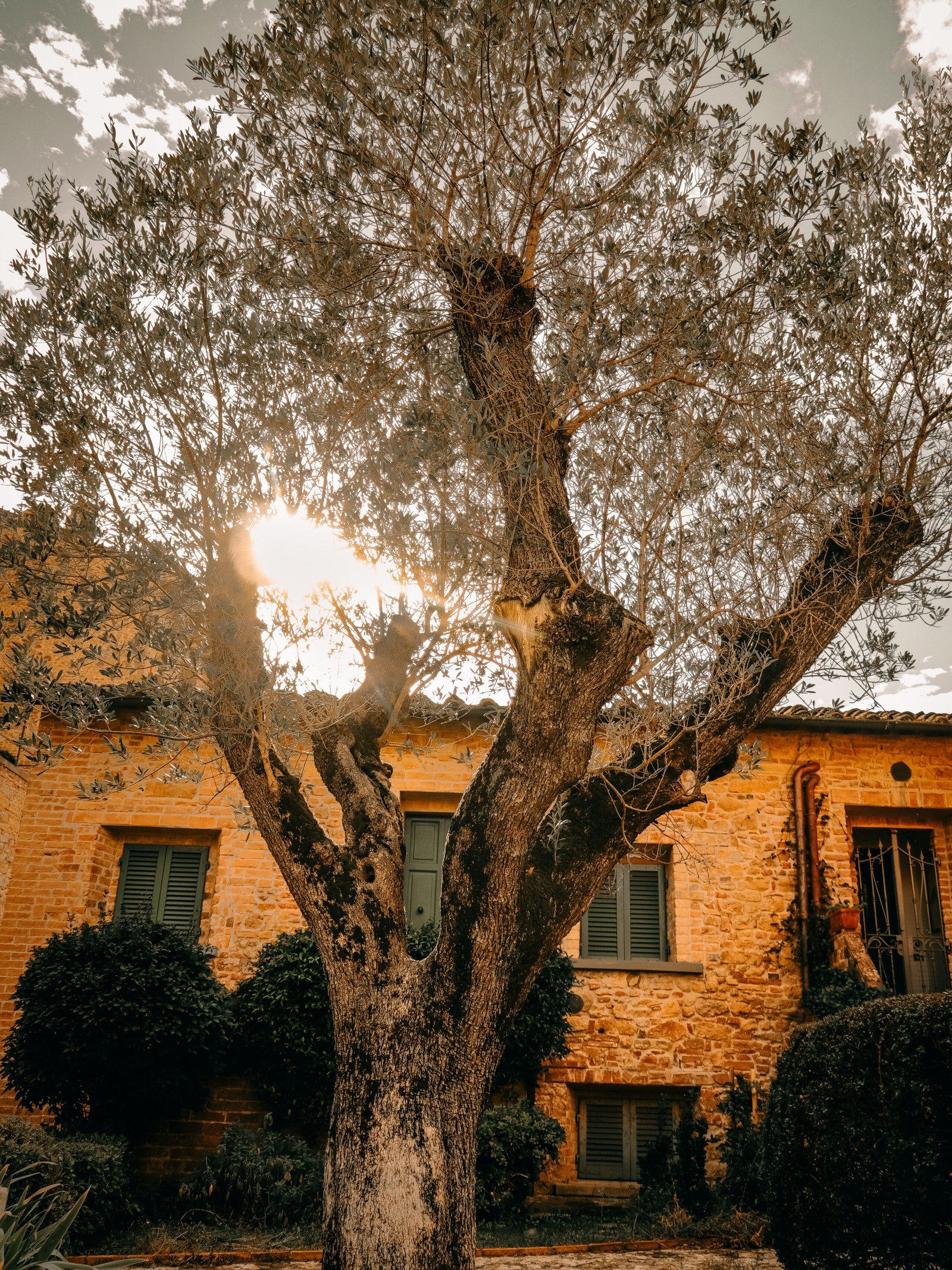 Photographe de mariage à Lyon, je capture chaque moment avec naturel et émotion, des préparatifs jusqu’à la soirée, pour raconter votre journée avec authenticité.