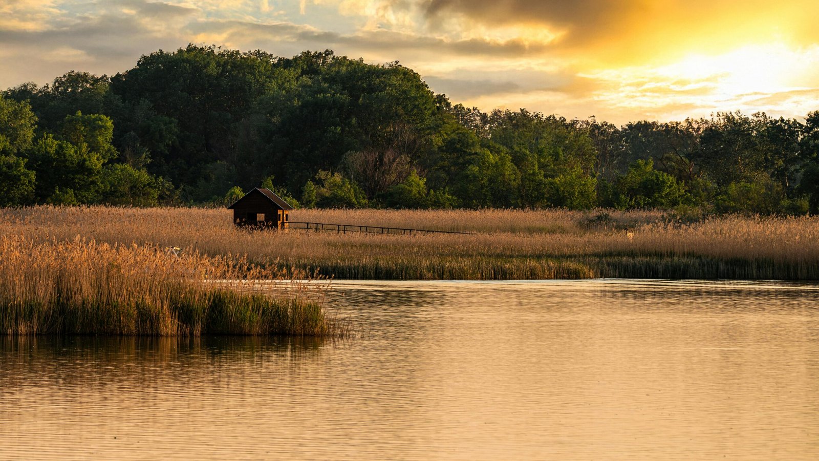 paysage bord de l'eau