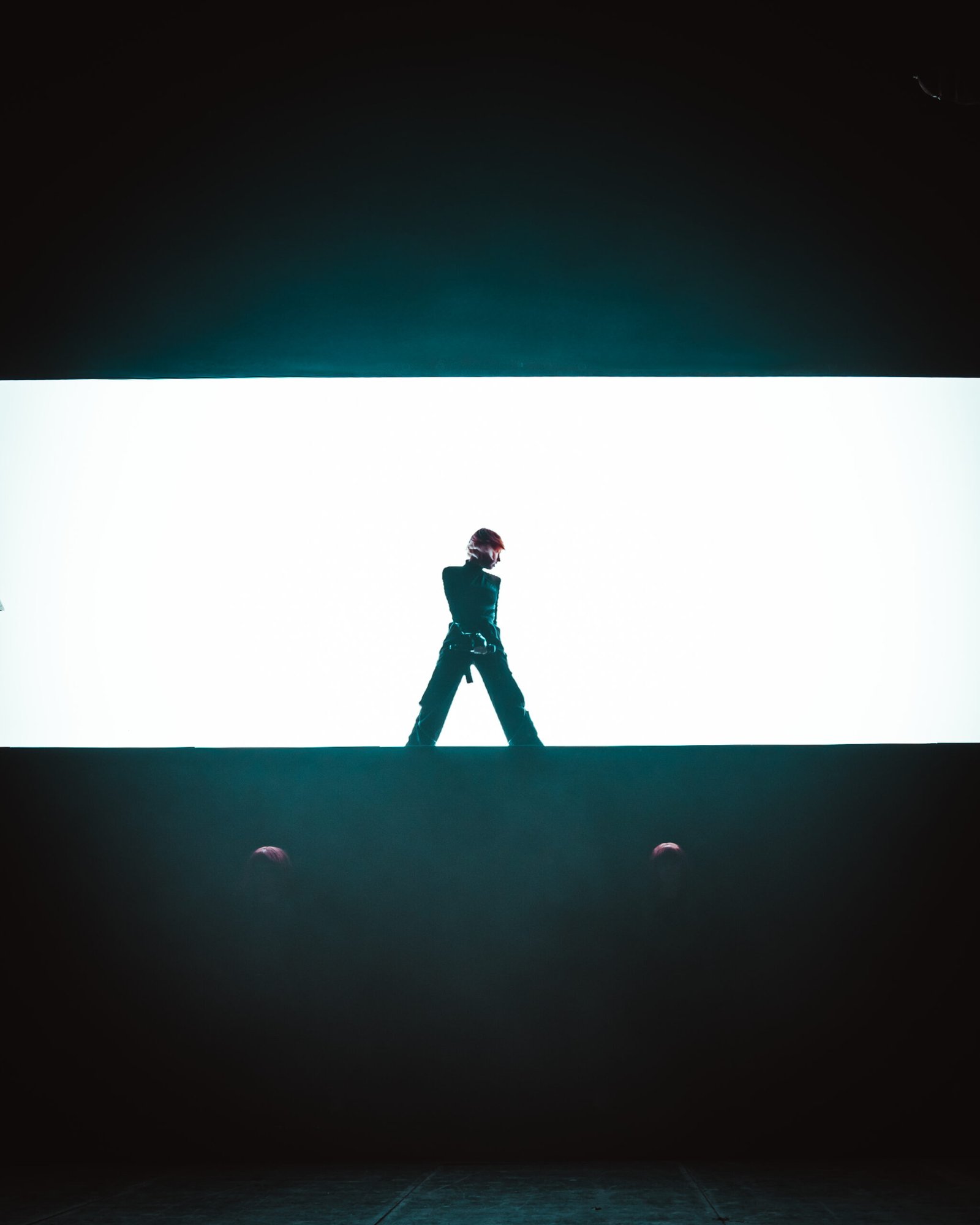 Concert de suzanne transbordeur Lyon par alcbfoto