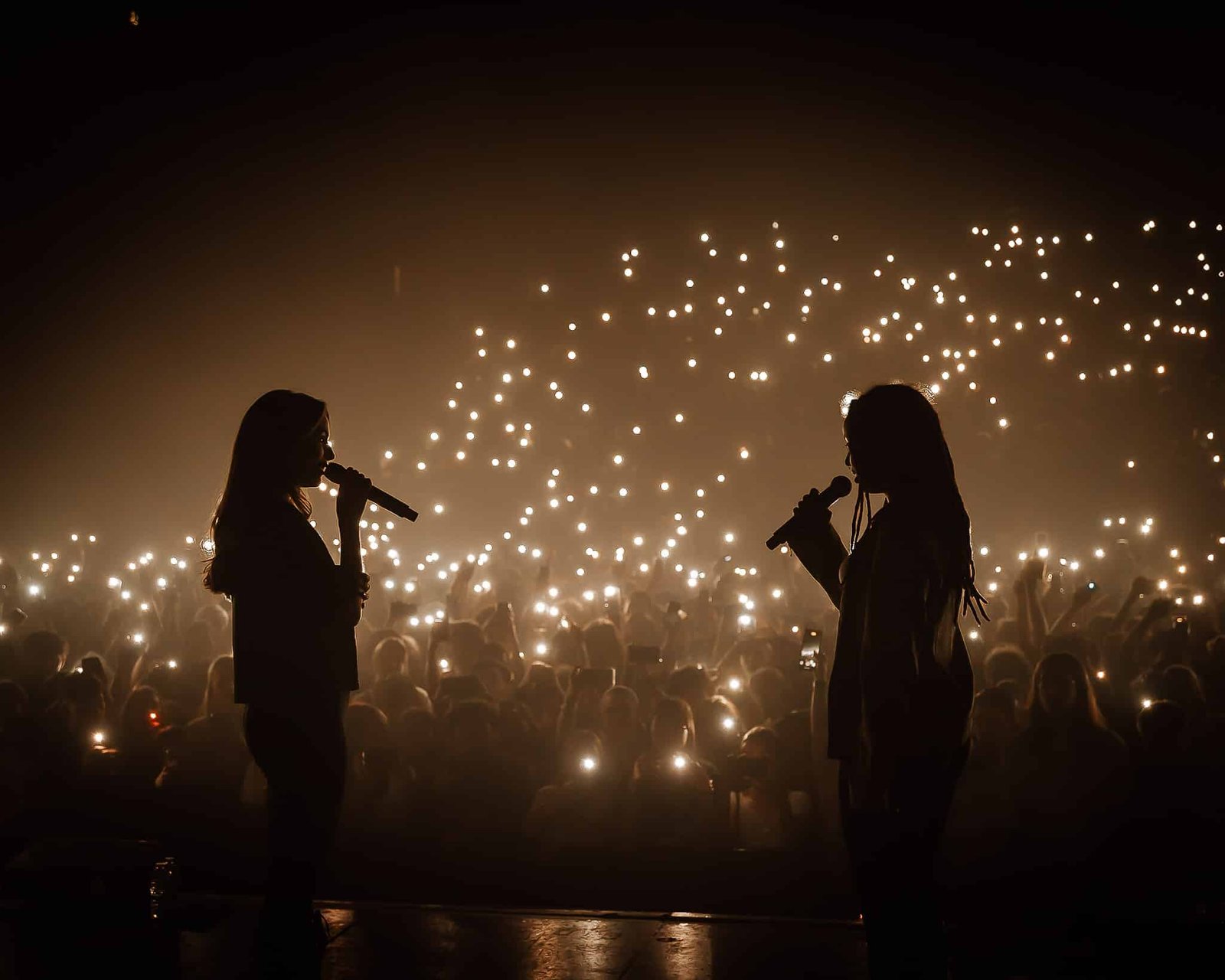 Photographe concert Lyon scène ALCBFOTO
