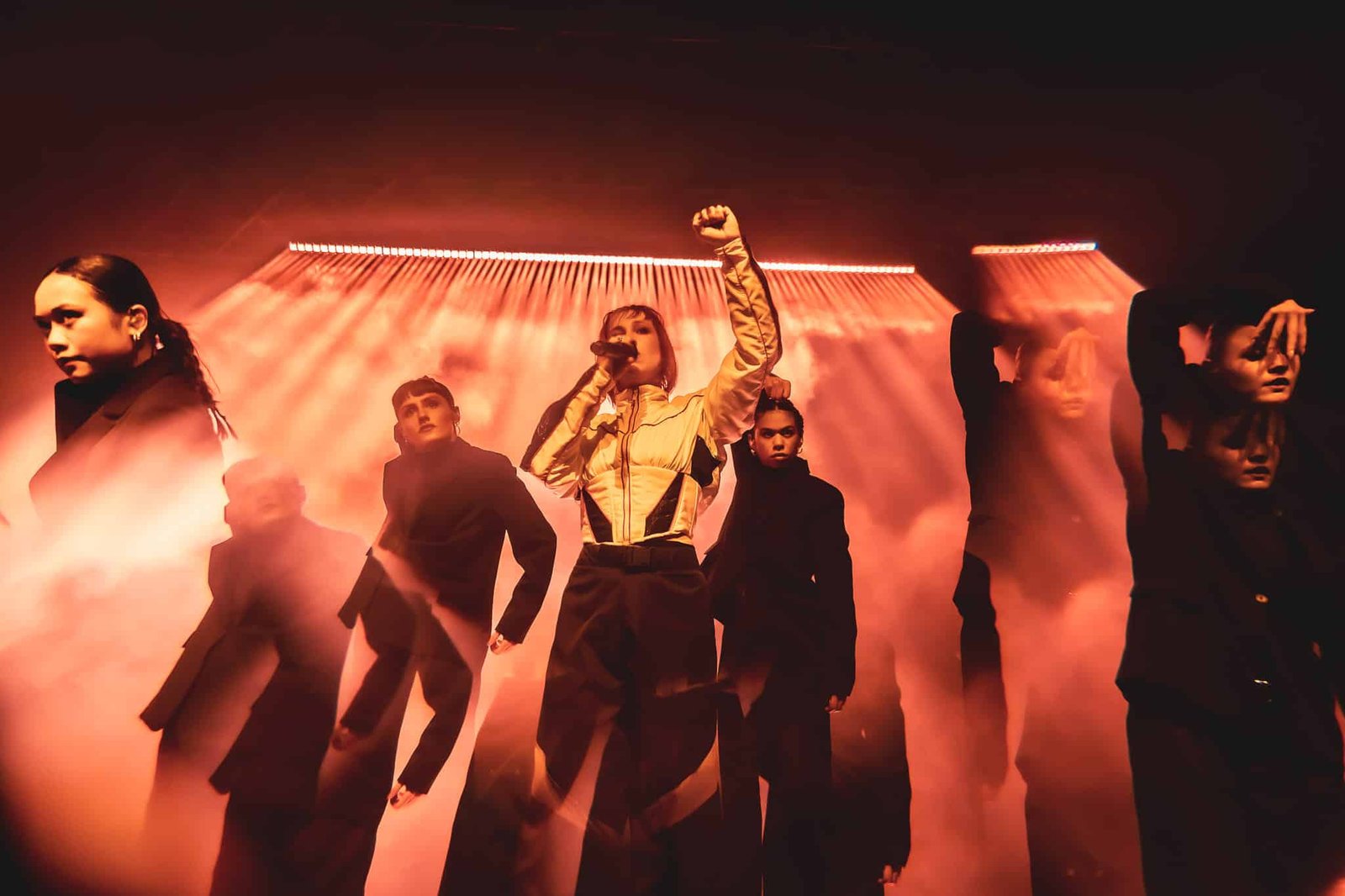 Suzanne concert lyon