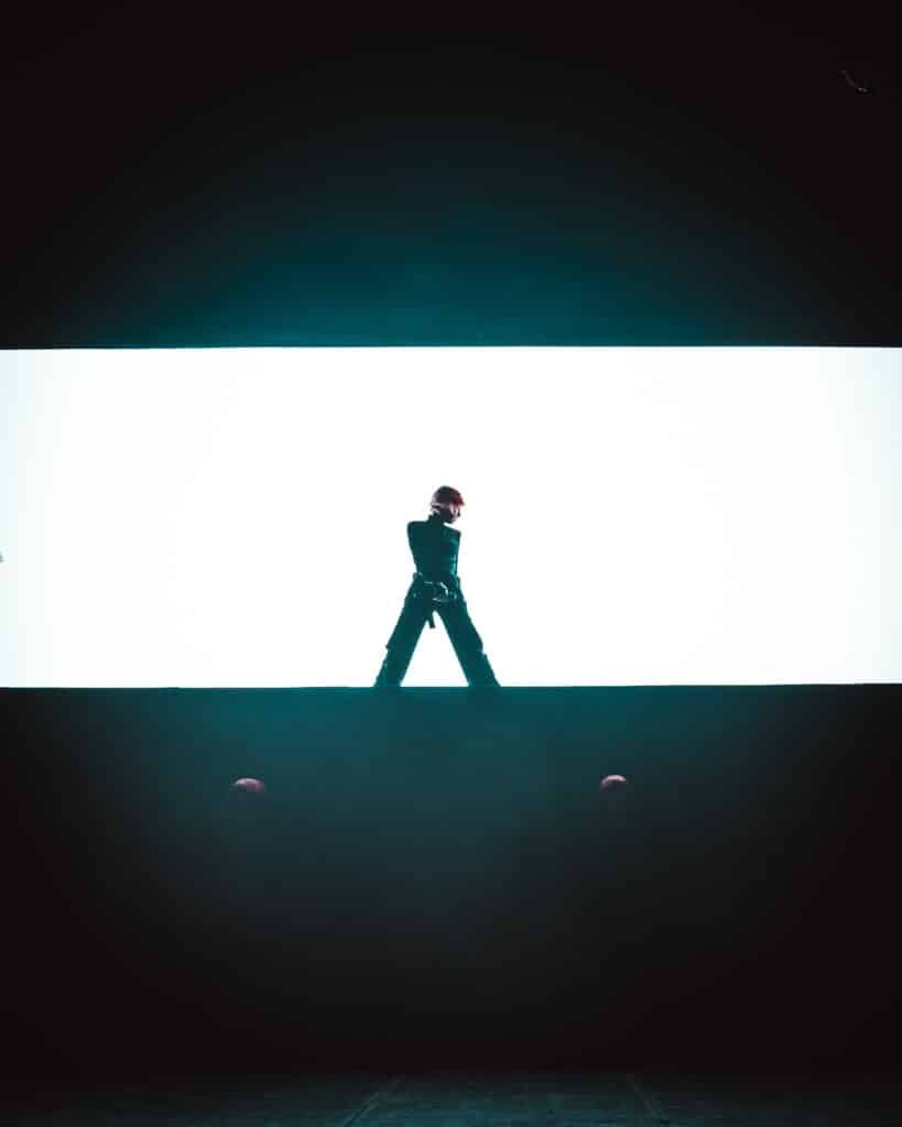 Concert de suzanne transbordeur Lyon par alcbfoto