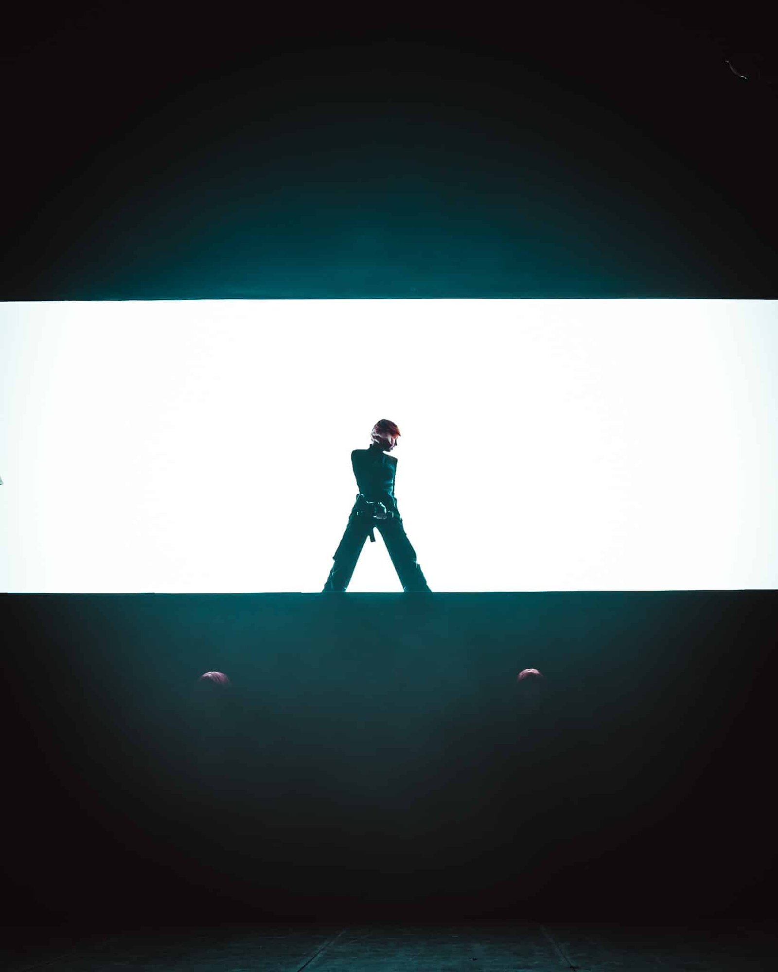 Concert de suzanne transbordeur Lyon par alcbfoto