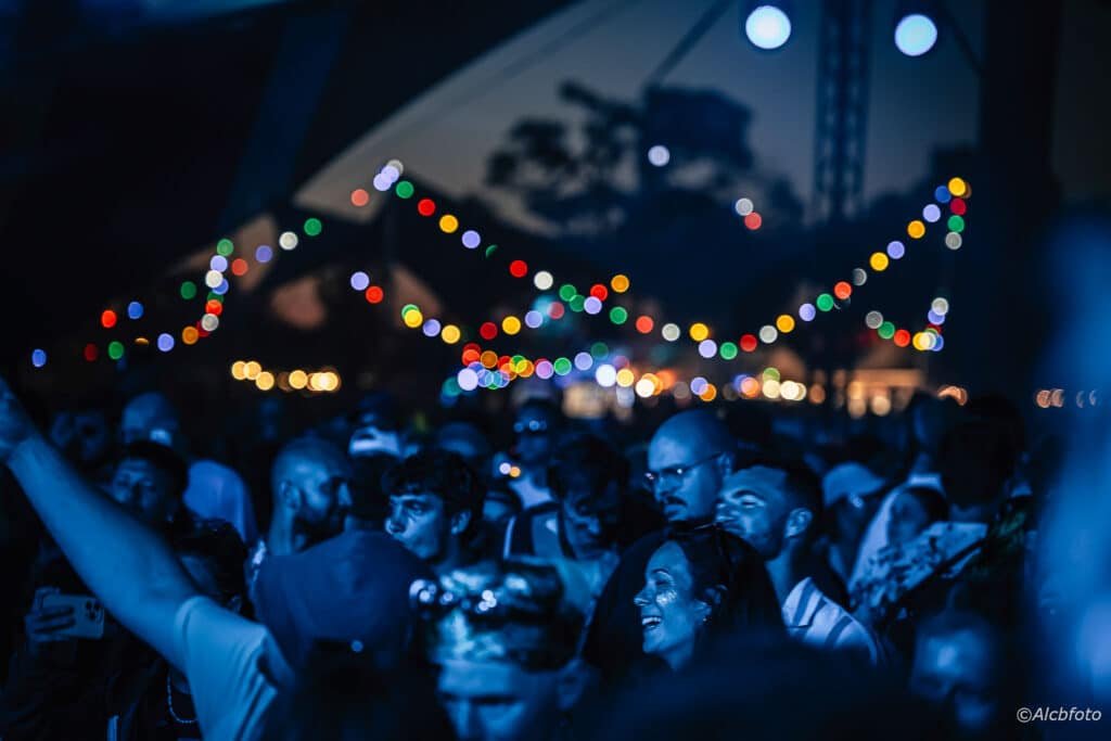 concert public evenementiel lyon